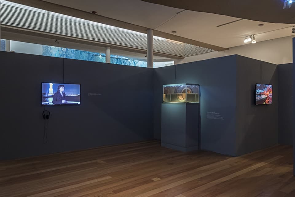 Profundo secondary image