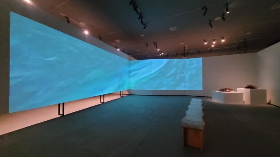 3er Encuentro Áreas Protegidas secondary image